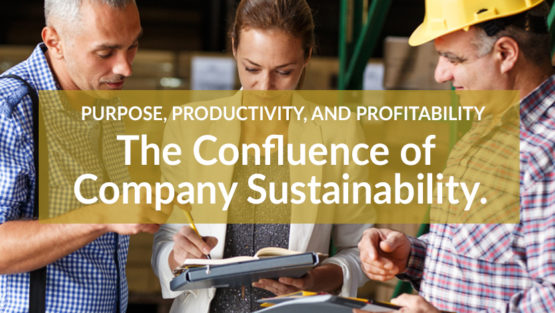 Purpose, Productivity, and Profitability –  The Confluence of Company Sustainability.